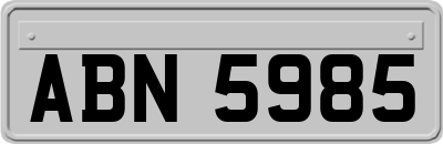ABN5985