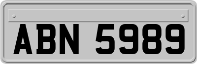 ABN5989