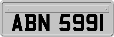 ABN5991
