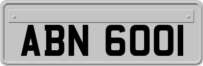 ABN6001