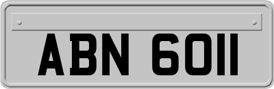 ABN6011