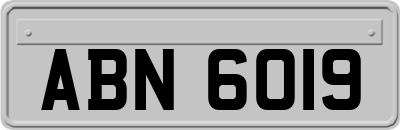 ABN6019