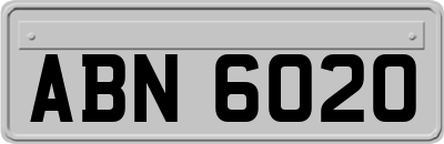 ABN6020