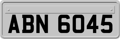ABN6045