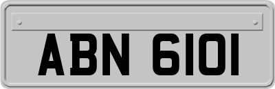 ABN6101