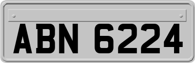 ABN6224