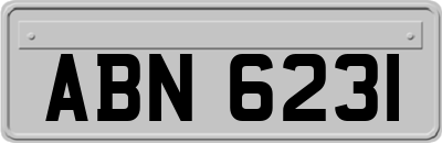ABN6231