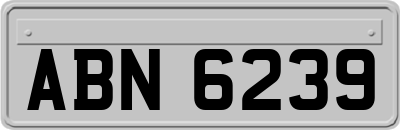 ABN6239