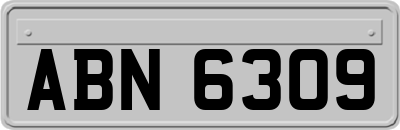 ABN6309