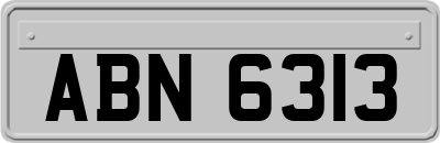 ABN6313