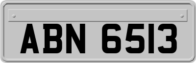 ABN6513