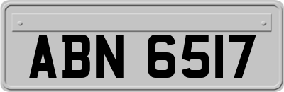ABN6517