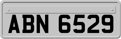 ABN6529