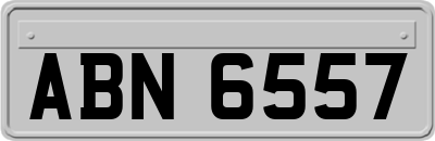 ABN6557