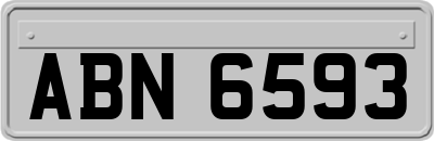 ABN6593