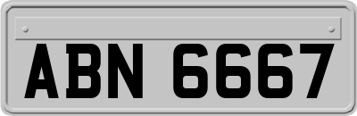 ABN6667