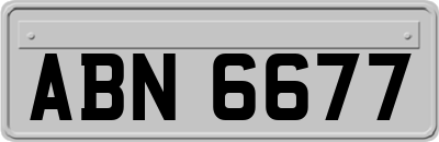ABN6677
