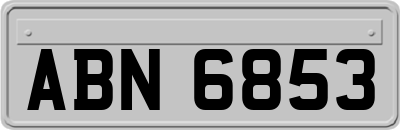 ABN6853