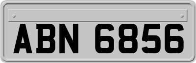 ABN6856