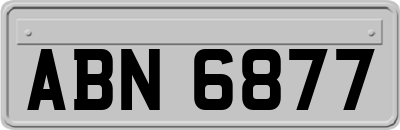 ABN6877
