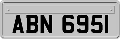 ABN6951