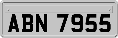 ABN7955