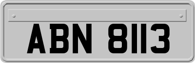 ABN8113