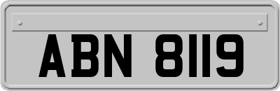 ABN8119
