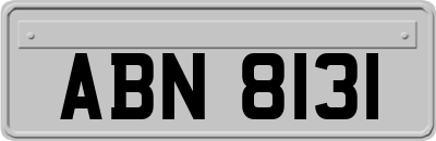 ABN8131