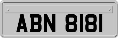 ABN8181