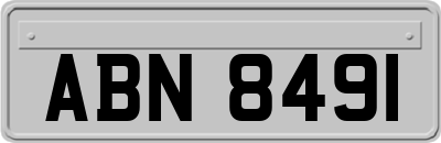 ABN8491