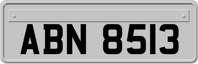 ABN8513