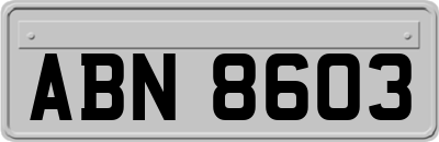 ABN8603