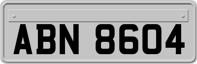 ABN8604