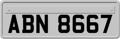 ABN8667
