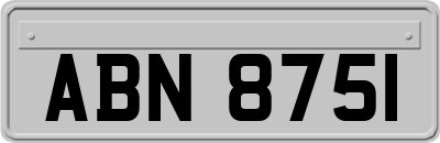 ABN8751