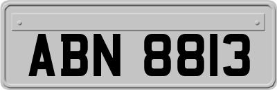 ABN8813