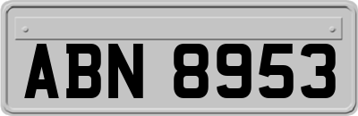 ABN8953