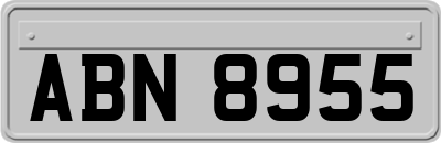 ABN8955