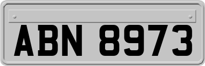 ABN8973