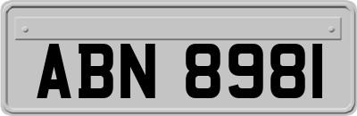 ABN8981