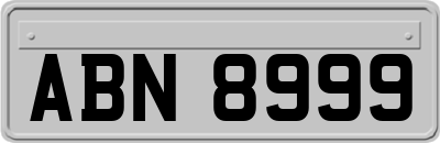 ABN8999
