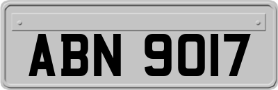ABN9017