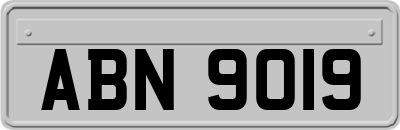 ABN9019