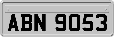 ABN9053