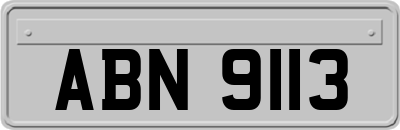 ABN9113