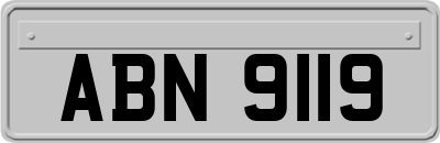 ABN9119