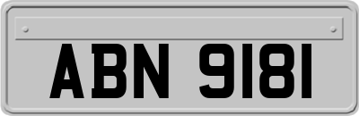 ABN9181