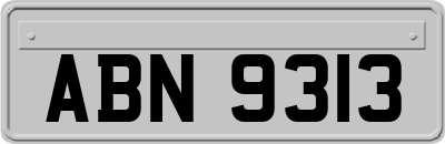 ABN9313