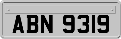 ABN9319